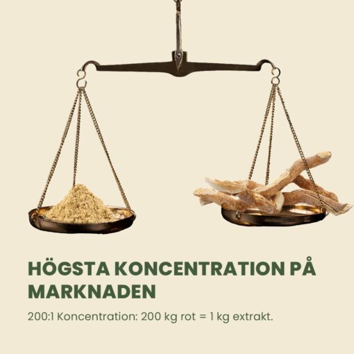 Med 200:1 erbjuder vi den högsta koncentrationen av Tongkat Ali på marknaden.